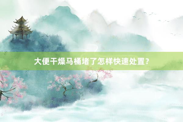 大便干燥马桶堵了怎样快速处置？